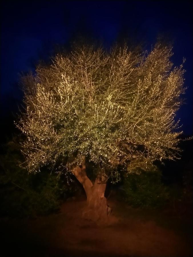 Casa Tanghicciola Lägenhet Levie Exteriör bild
